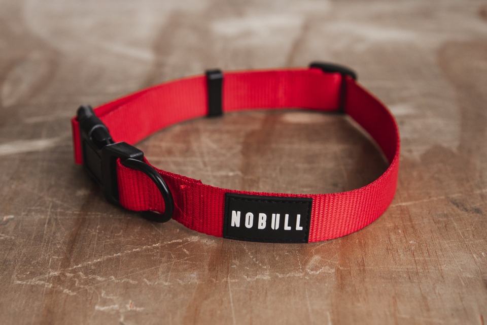 NOBULL Dog Collar (1 Inch) Red